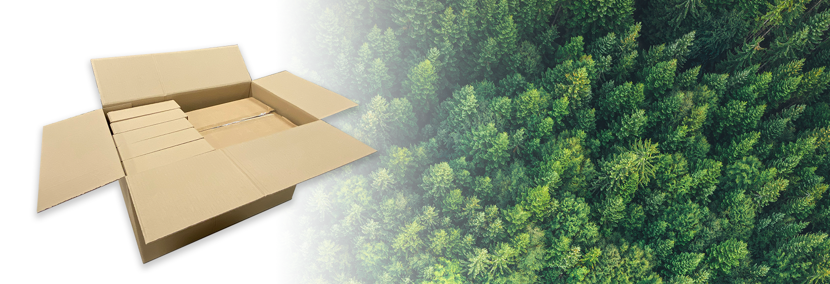 Our commitment to more sustainable packaging and freight