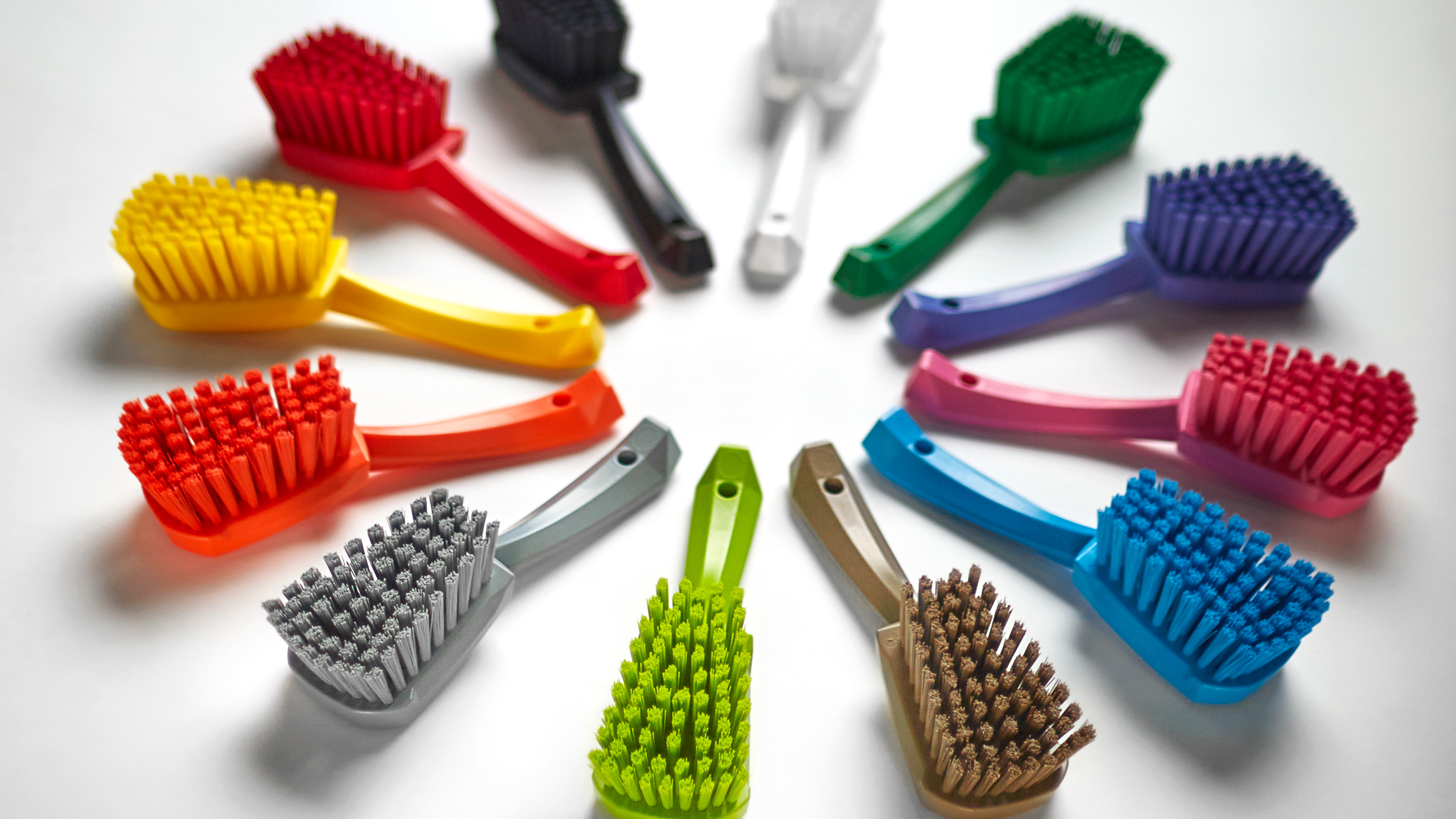 Top 6 Food Safety Culture and Color-Coding Questions